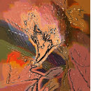 Recherche de hawk puzzles Oiseau