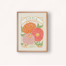 Recherche de zinnia posters Dahlia