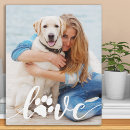 Recherche de animaux portraits Toute personne