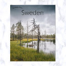 Recherche de caché cartes postales Forêt