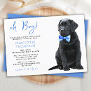 Recherche de chien labrador invitations Moderne