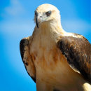 Recherche de citation de noël posters Pour tous