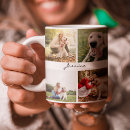 Recherche de dog tasses Moderne