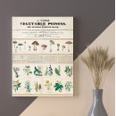 Recherche de 1840 posters Vintage