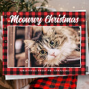 Recherche de humour chat vacances cartes postales Animal