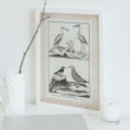 Recherche de mouette sur la plage posters Pour elle