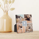 Recherche de empreintes de pattes plaques Dogs