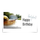 Recherche de belated anniversaire cartes Escargot
