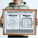 Recherche de code génétique posters Codon