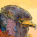 Recherche de rapaces tapis souris Oiseaux