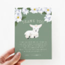 Recherche de moutons blancs cartes postales Floral