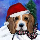Recherche de bigle Beagle