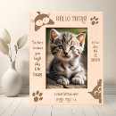 Recherche de chats cadres photos Amoureux des chats