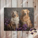 Recherche de border collie puzzles Animaux
