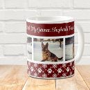 Recherche de race classiques tasses Race de chien