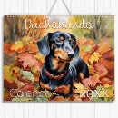 Recherche de teckel calendriers Doxie