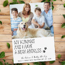 Recherche de chat 13x18 invitations Amoureux des chiens