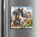 Recherche de cheval blanc noir magnets Ferme