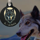 Recherche de loup chien Tribal