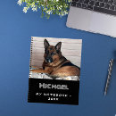 Recherche de gsd Noir et blanc