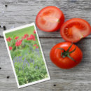 Recherche de photographe serviettes Photographie