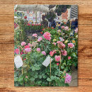 Recherche de plants puzzles Floral