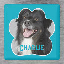 Recherche de memorial magnets Dog
