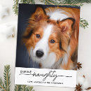 Recherche de humour de chien vœux cartes Chat