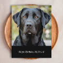 Recherche de anniversaire labrador cartes postales Noir