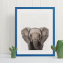 Recherche de elephant chambre enfant posters Pépinière