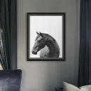 Recherche de cheval blanc noir posters Imprimer