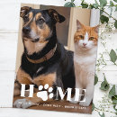 Recherche de photo de chien cartes postales Amoureux des chiens