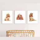 Recherche de cocker spaniel posters Portrait