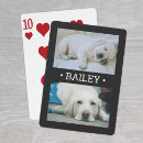 Recherche de chat noir jeux de cartes Pour animaux