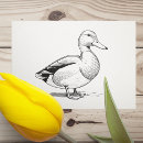 Recherche de canard timbré Oiseau