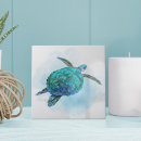 Recherche de tortue carreaux Maison de plage