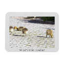 Recherche de déjeuner magnets Oiseau