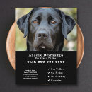 Recherche de canin prospectus Marcheur de chiens