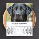 Recherche de canine prospectus Marcheur de chiens