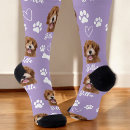 Recherche de animaux chaussettes Chiot