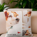 Recherche de aimant coussins Funérailles