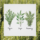 Recherche de herb posters Thym