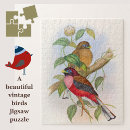 Recherche de oiseaux vintages puzzles Coloré