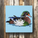 Recherche de oiseaux de marais art Bleu