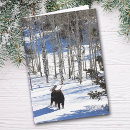 Recherche de hiver toutes vœux cartes Colorado