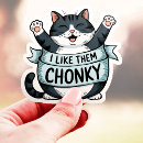 Recherche de dodu Chat dodu
