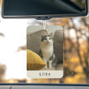 Recherche de maman voiture accessoires Garder
