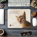 Recherche de photo drôle chien tapis souris Pour tous