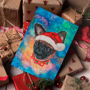 Recherche de griffons cartes postales Amoureux des chiens