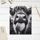 Recherche de humour de vache Pour tous